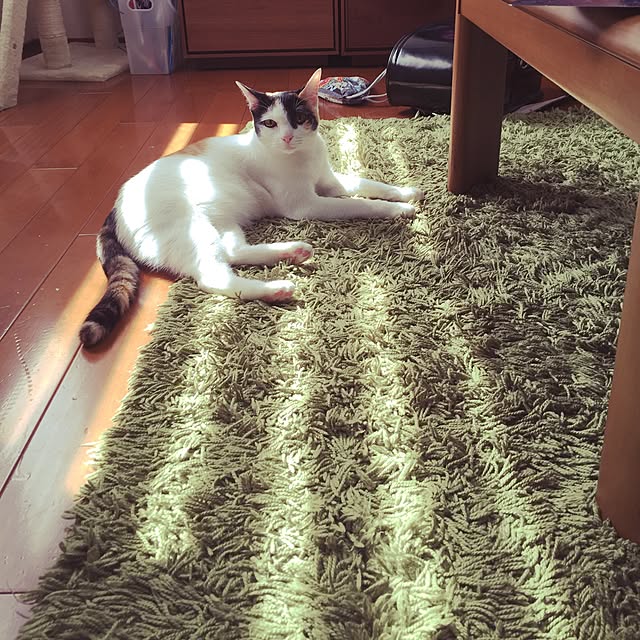 beruさんの実例写真