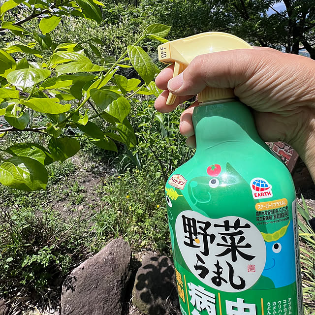 masakoさんの実例写真