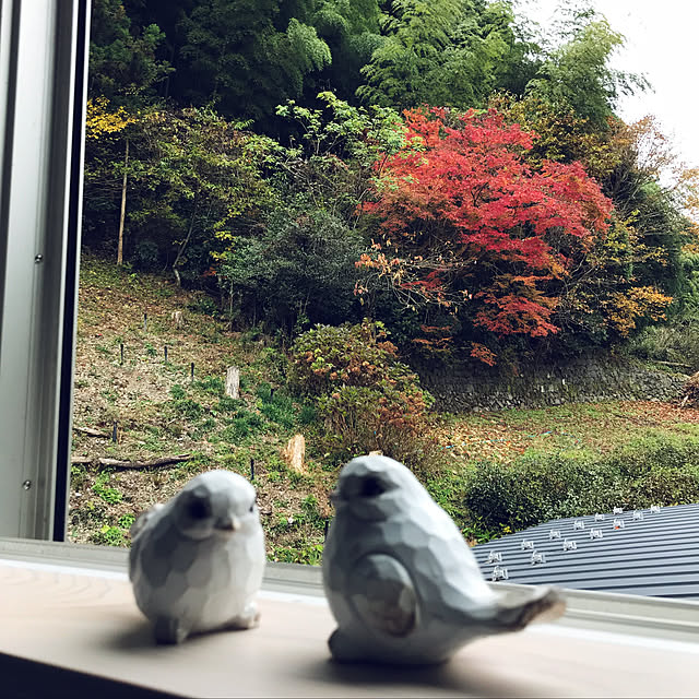 kanaさんの実例写真