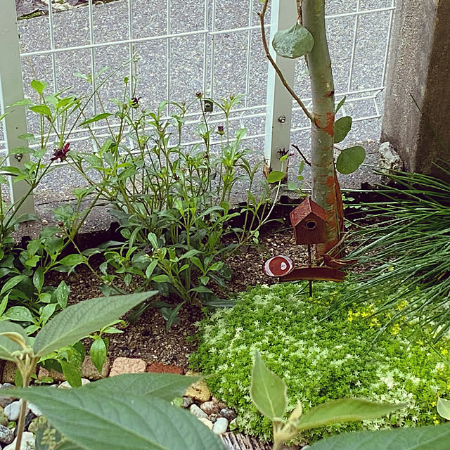 zuccoさんの実例写真