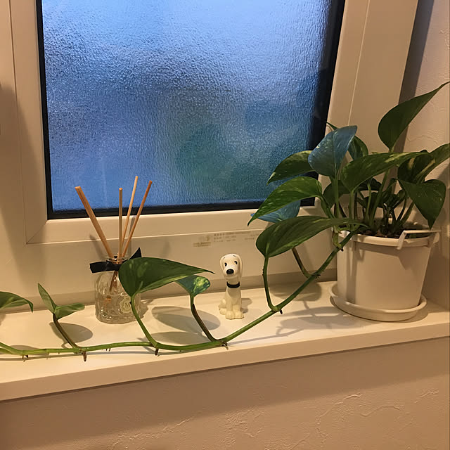 sereinaさんの実例写真