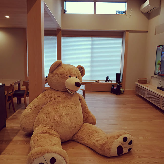 実例写真