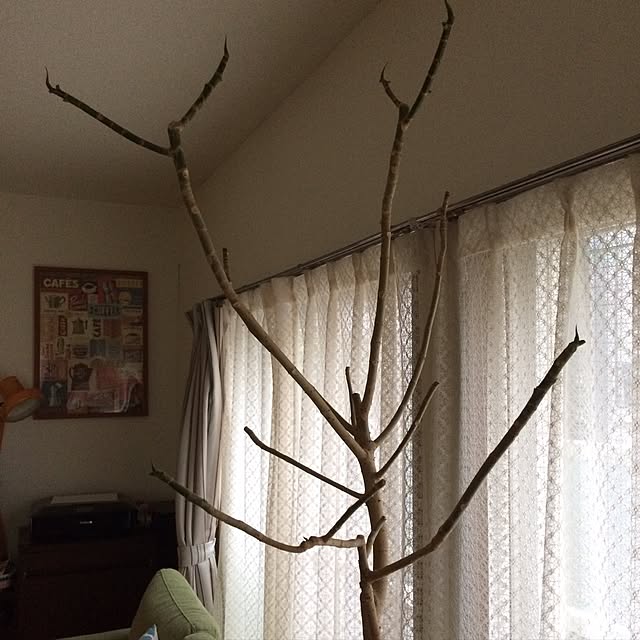 soramameさんの実例写真