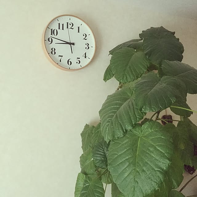 ma.koさんの実例写真