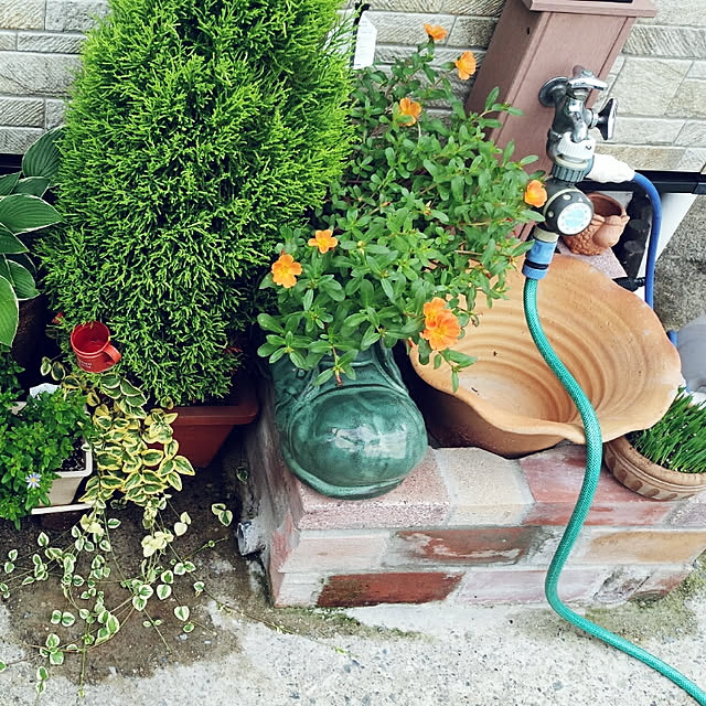 実例写真