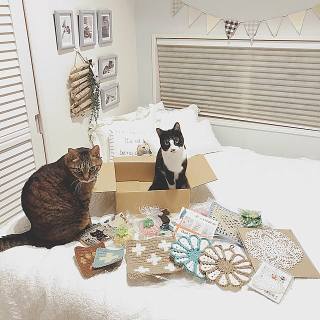 lovecatさんの実例写真