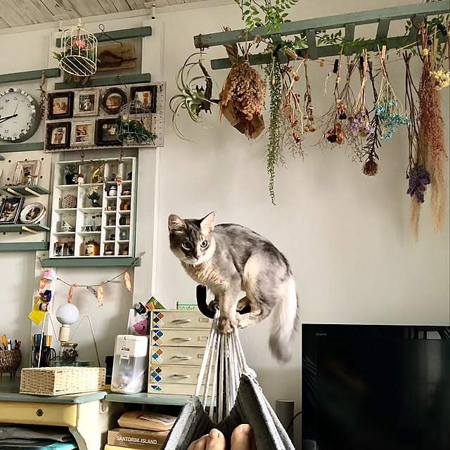 paradise_viewさんの実例写真