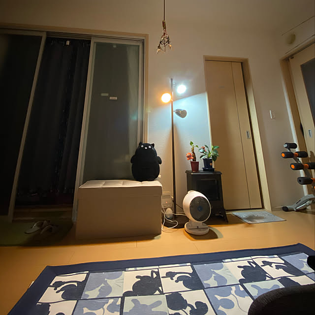 部屋全体のインテリア実例 - 2020-05-19 23:47:06