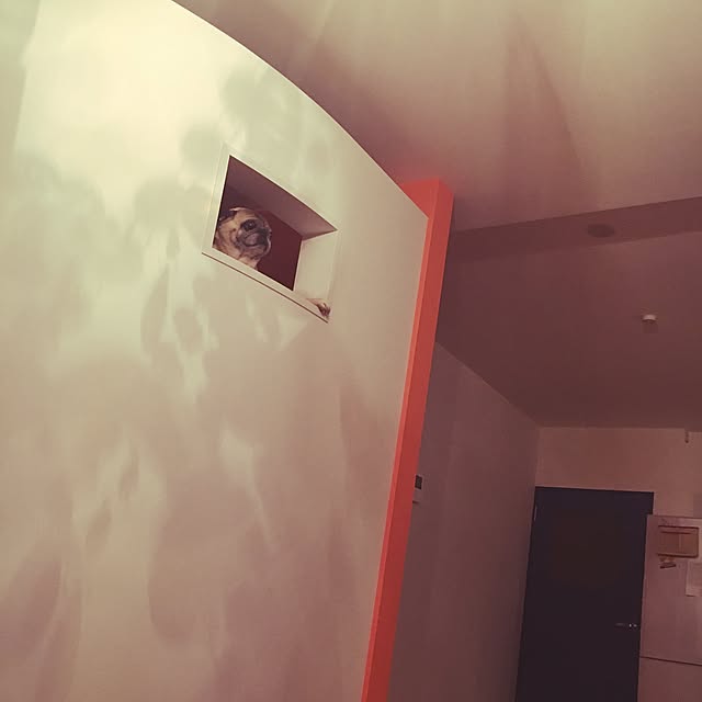 suguruさんの実例写真