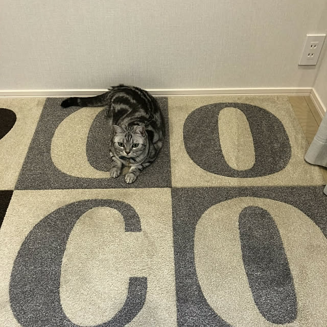 NANACOCOさんの実例写真