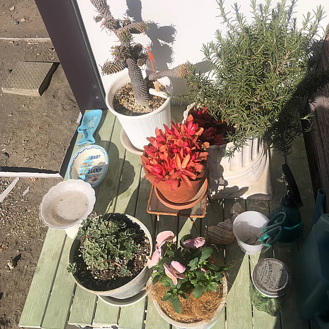 Malamaさんの実例写真