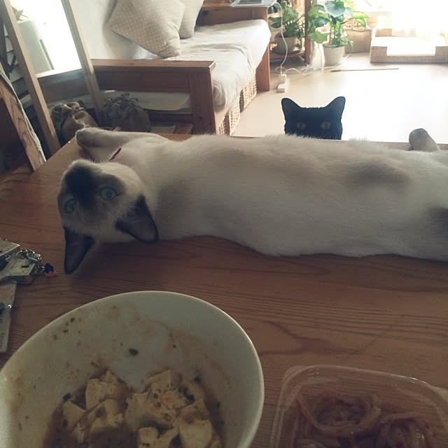 chadoさんの実例写真