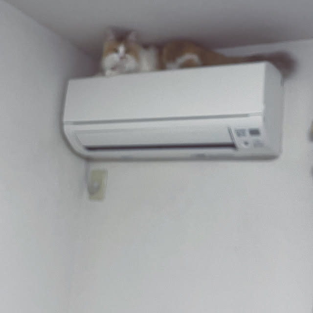 mya___kさんの実例写真