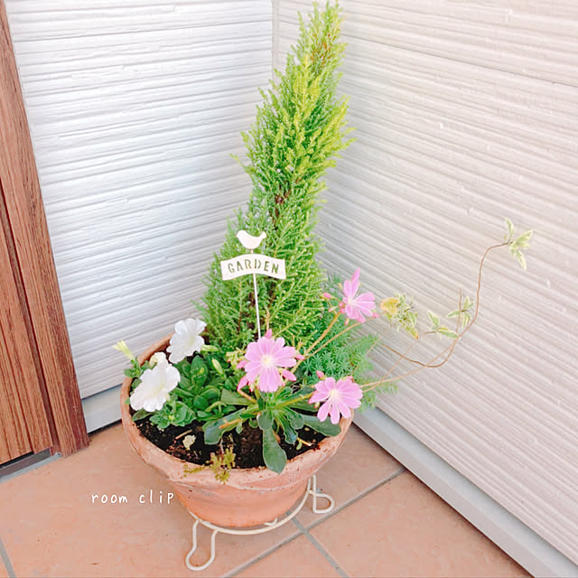 kinaさんの実例写真