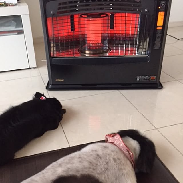 Akiraさんの実例写真