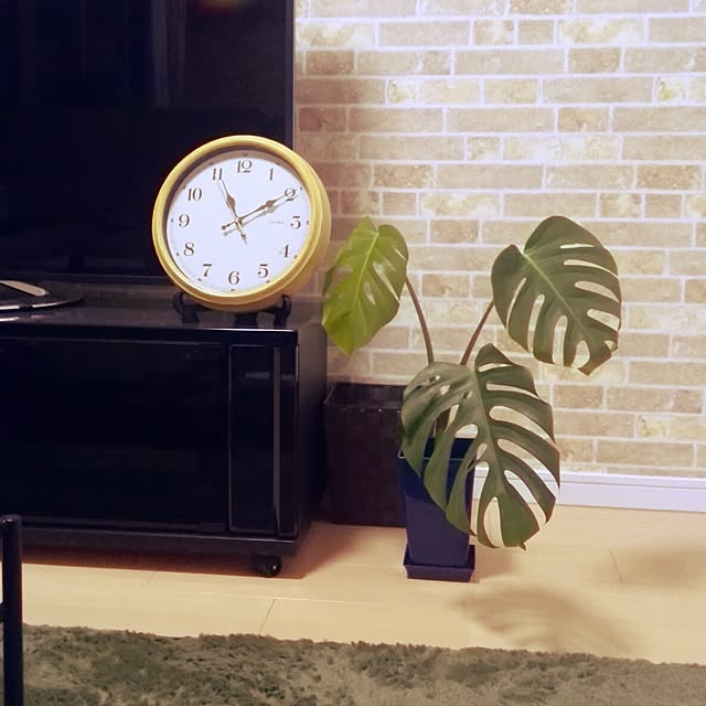 Kacoさんの実例写真