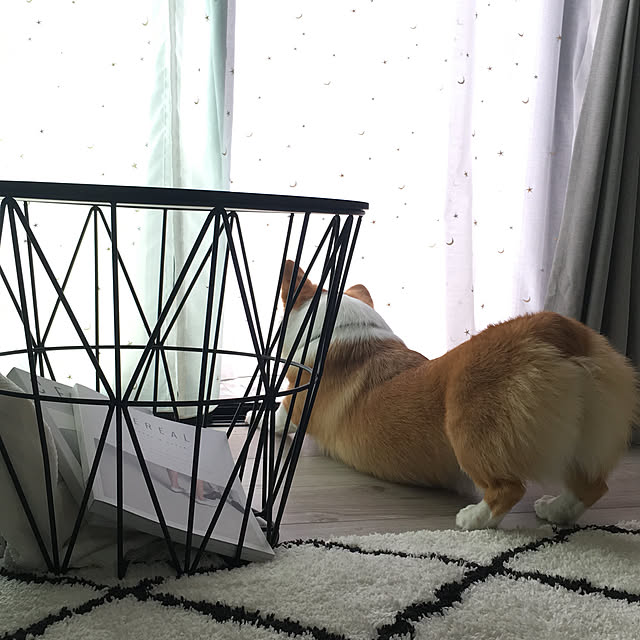 3ayuさんの実例写真