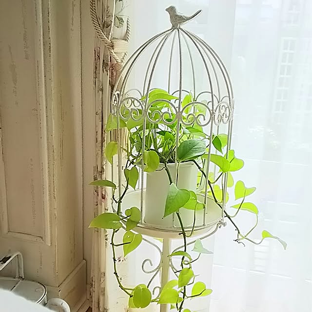 s.mamaさんの実例写真