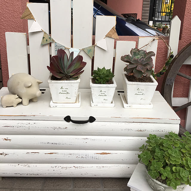 snowさんの実例写真