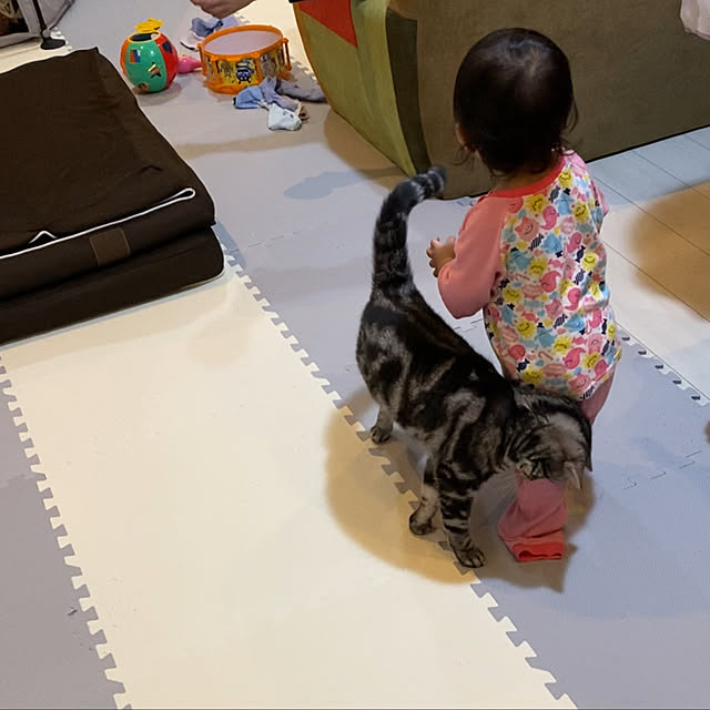 KotarouKunさんの実例写真