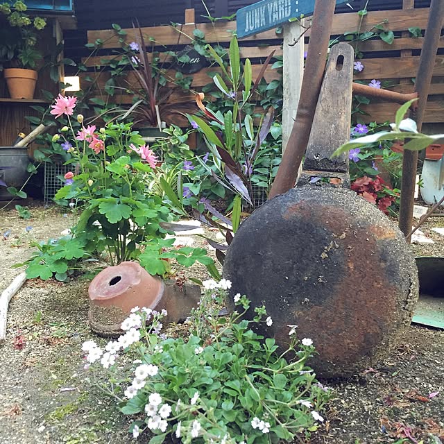 bibianさんの実例写真