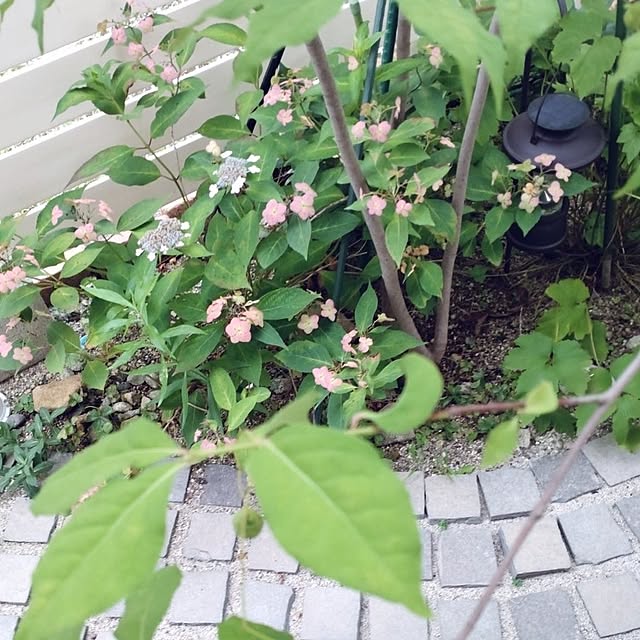 Bienvenueさんの実例写真