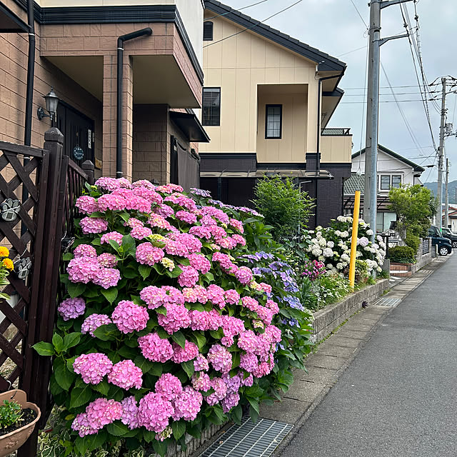 ritsukoさんの部屋