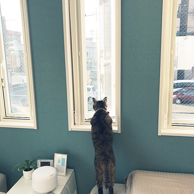 minminさんの実例写真