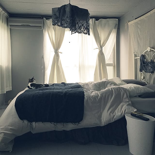 Shihoさんの実例写真