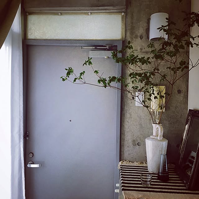 玄関/入り口/観葉植物/一人暮らし/ナチュラルのインテリア実例 - 2017-05-07 14:21:10