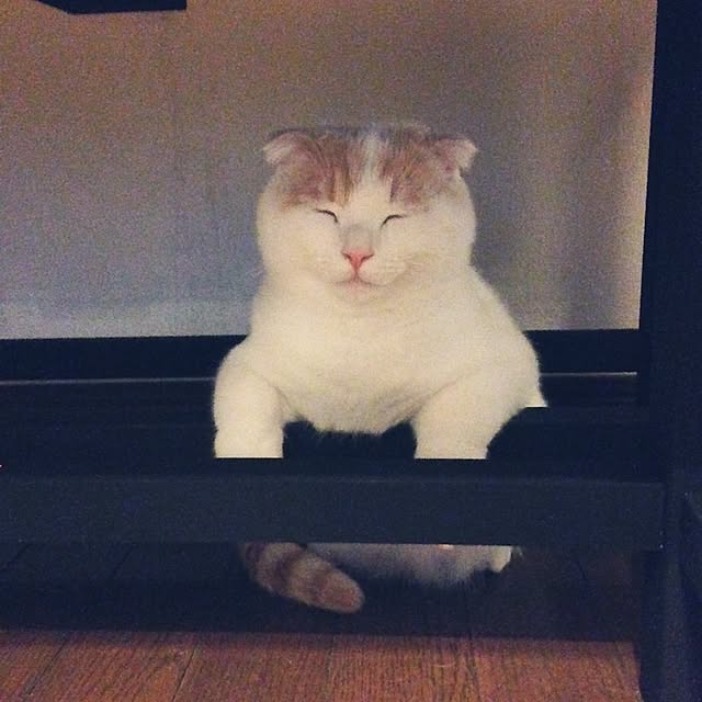 onojiijiさんの実例写真