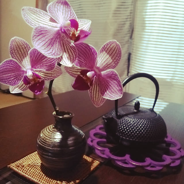 satokichiさんの実例写真