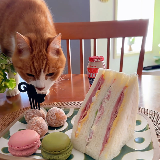 nyanko-beamさんの実例写真