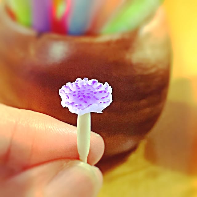 ramuchop3000さんの実例写真