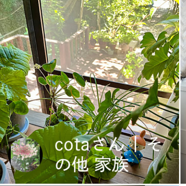 cotaさんの実例写真