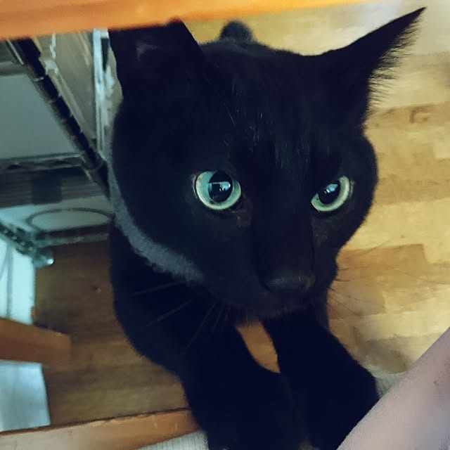 mayu.ariさんの実例写真