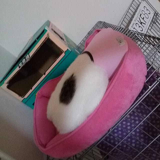 kamekoさんの実例写真