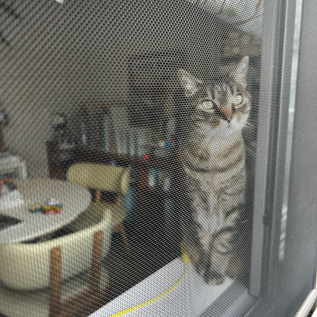 mikomaruさんの実例写真