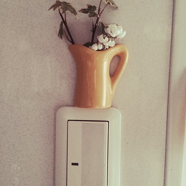 キッチン/観葉植物/雑貨のインテリア実例 - 2016-02-16 13:57:35