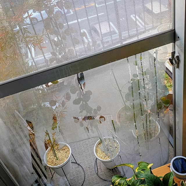 mi-saさんの部屋