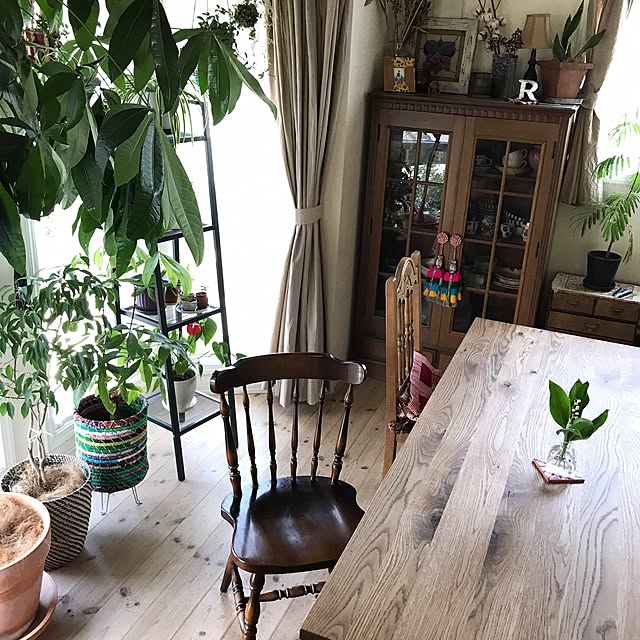 junさんの実例写真