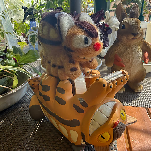 Aqettyさんの部屋