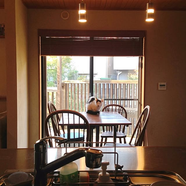 Sakuikuraさんの実例写真