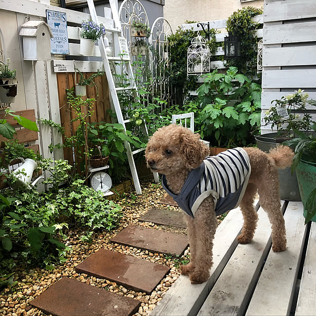 RURULOVEさんの実例写真