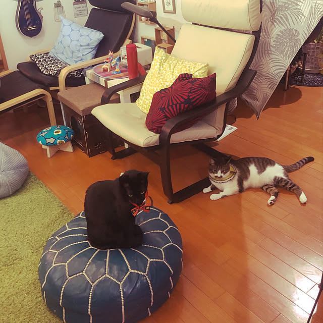 jijiさんの実例写真
