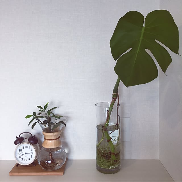 nmadoさんの実例写真
