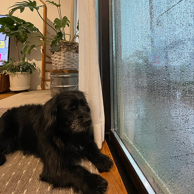 marinkoさんの実例写真