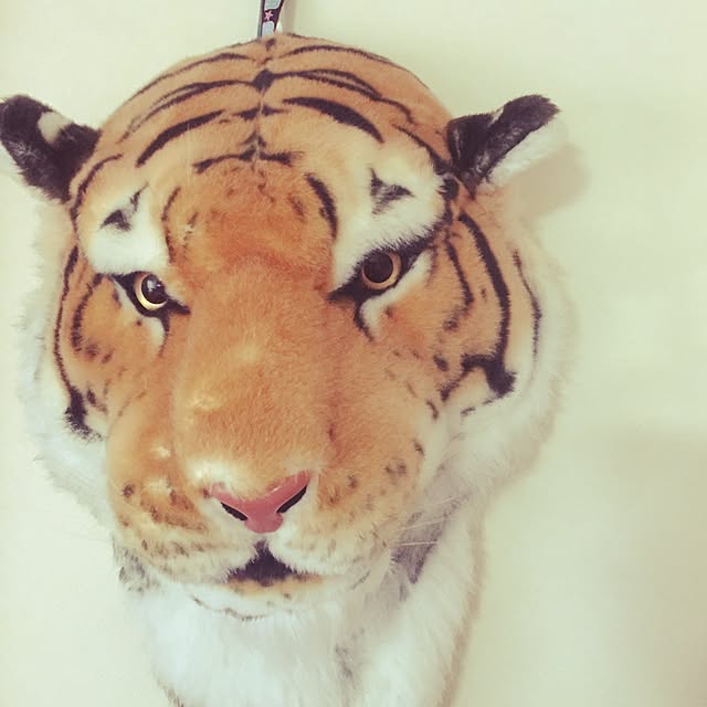 millyさんの実例写真