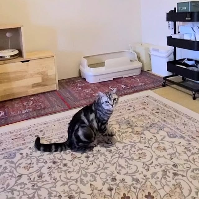 lovepeaceさんの部屋
