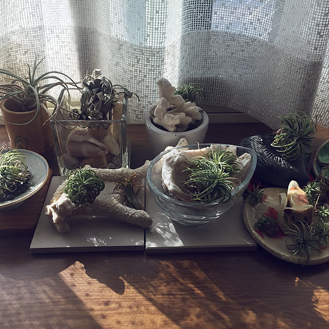 sakiko2006さんの実例写真